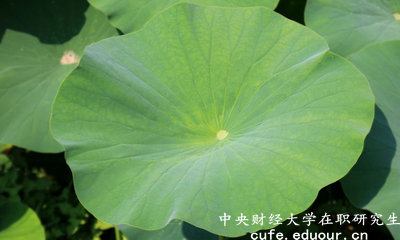 2018年中央財(cái)經(jīng)大學(xué)在職研究生可以獲得雙證嗎？