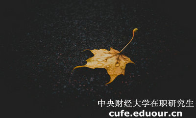 中央財(cái)經(jīng)大學(xué)在職研究生與課程研修班有哪些區(qū)別？