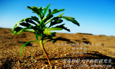 中央財經(jīng)大學(xué)在職研究生同等學(xué)力申碩有哪些優(yōu)勢？